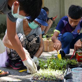 青年培力街角菜園01