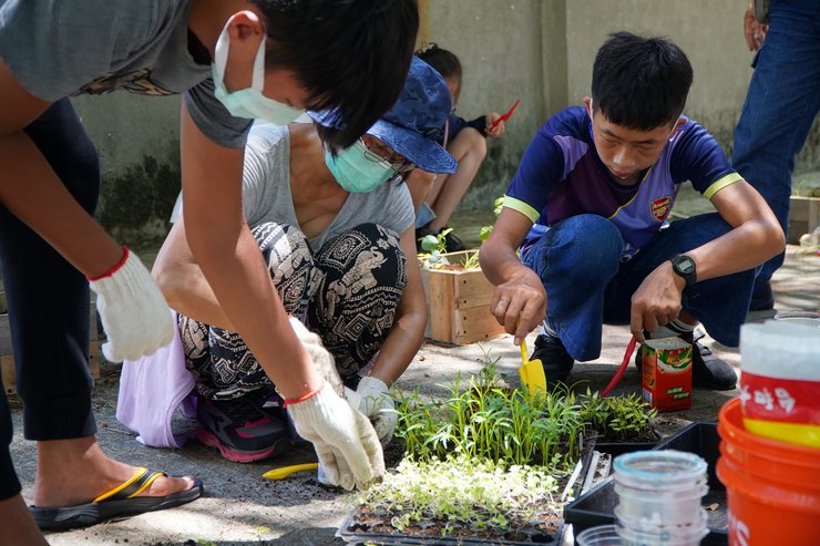 青年培力街角菜園01