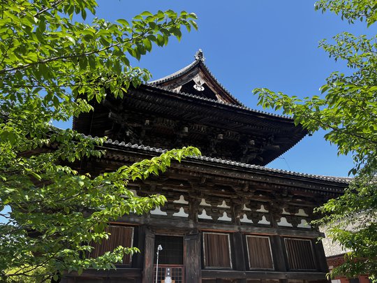 東寺-3