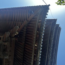 東寺-5