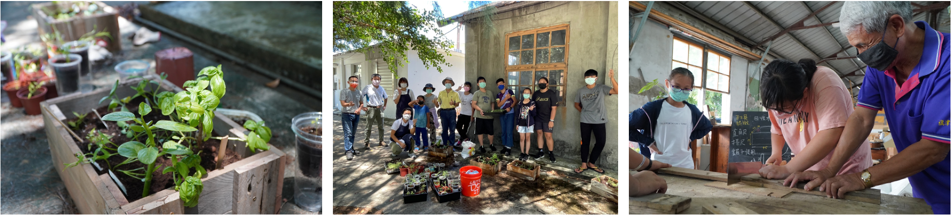 青年培力街角菜園02